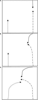 Adaptations in Visual Search Behaviour as a Function of Expertise in Rugby Union Players Completing Attacking Scenarios
